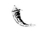 python-flask
